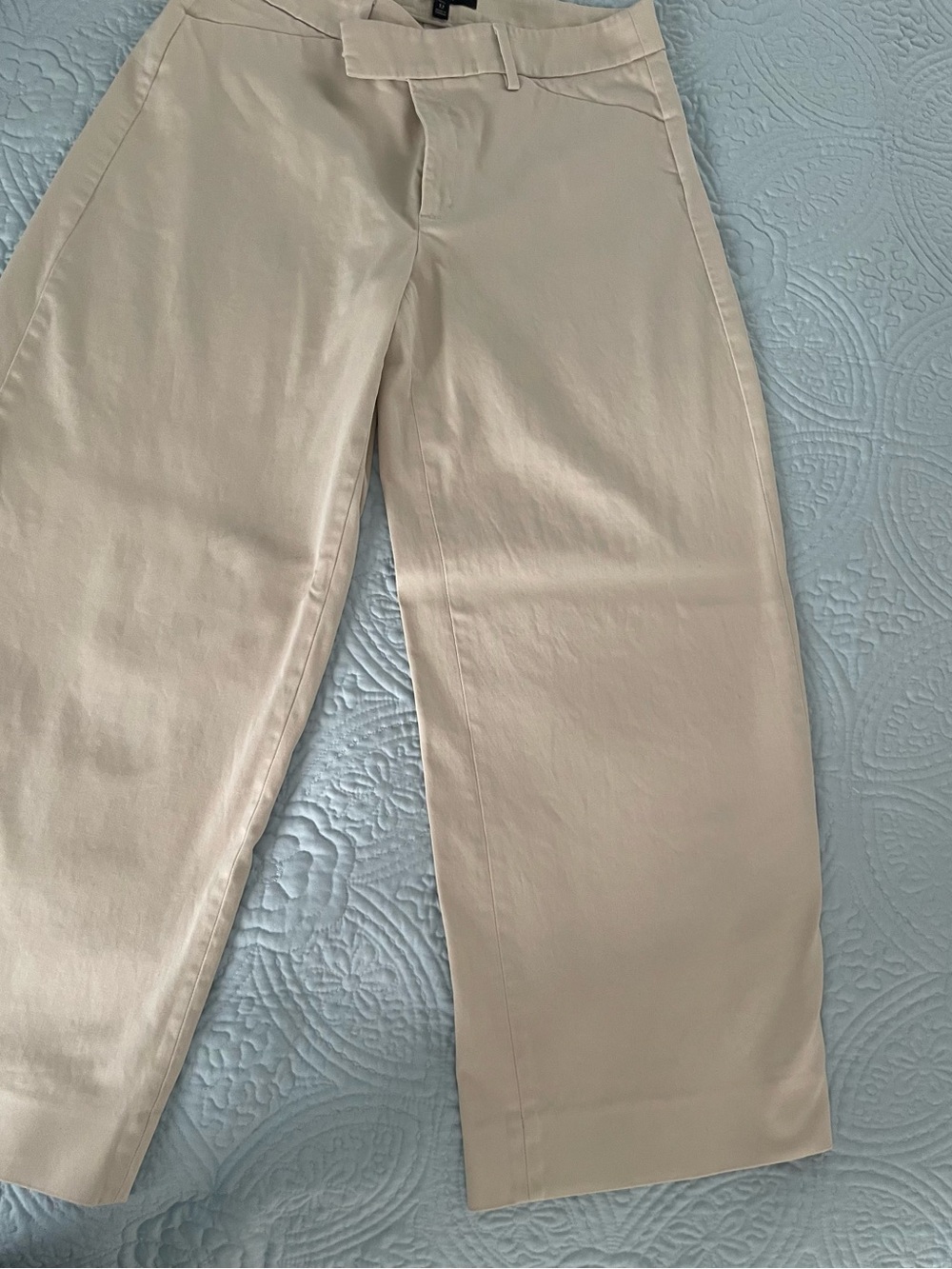 Banana Republic Wide-Leg Pants in Light Beige